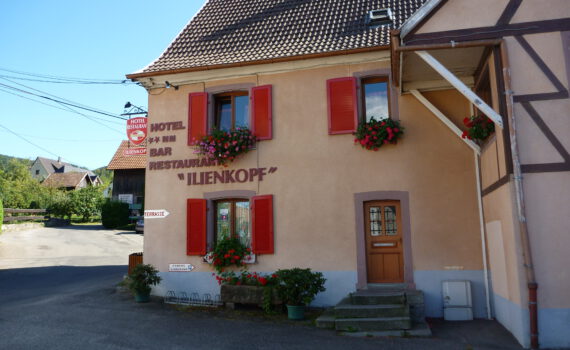 Beitragsbild 2009